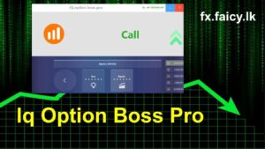 Iq Option Boss Pro